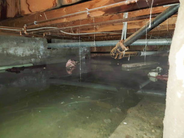  Richland, PA Water damage restoration Pros