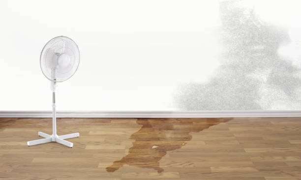 Best Sewage cleanup and water damage restoration  in Richland, PA