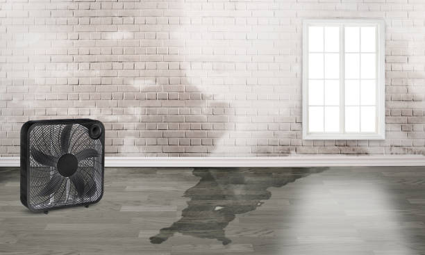 Best Ceiling water damage repair  in Richland, PA