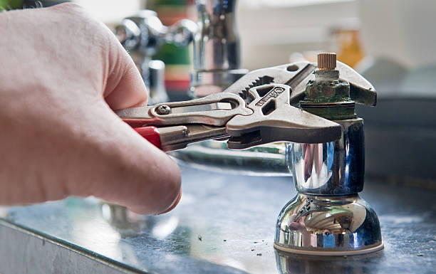 Best Mold removal after water damage  in Richland, PA