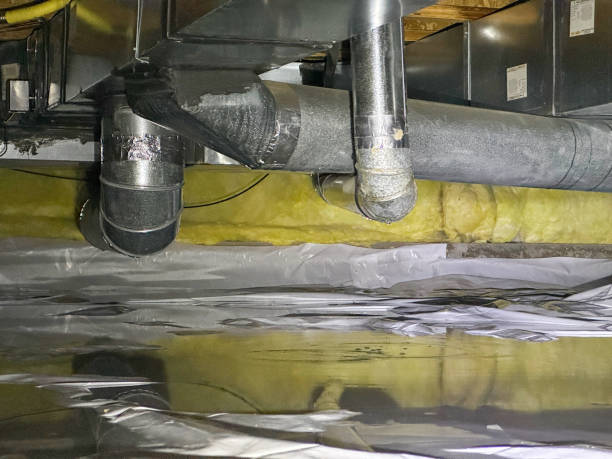 Best Professional water damage repair  in Richland, PA
