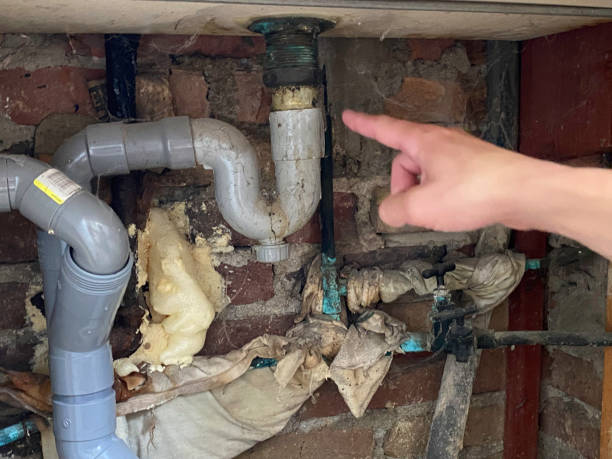 Best Water damage restoration specialists  in Richland, PA