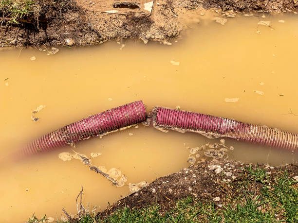 Best Water damage restoration insurance claims  in Richland, PA