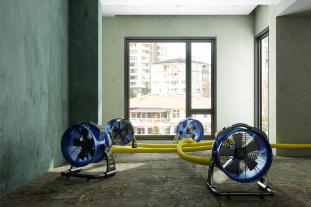 Best Flood restoration services  in Richland, PA