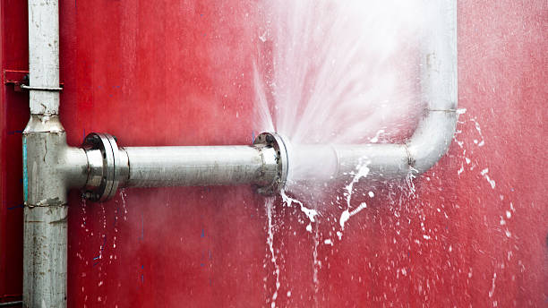 Best Carpet water damage restoration  in Richland, PA