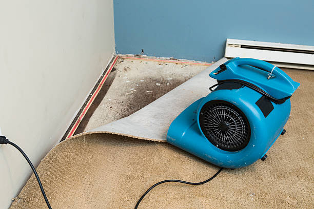 Best Flood damage cleanup  in Richland, PA