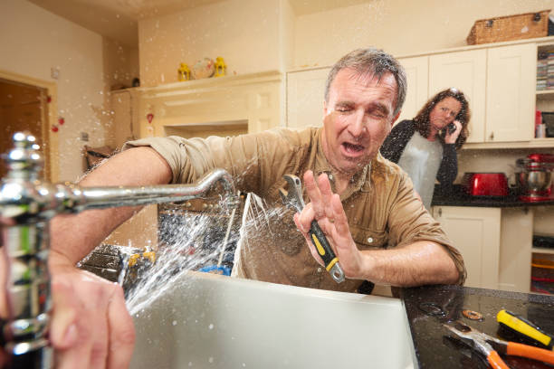 Best Water damage cleanup near me  in Richland, PA